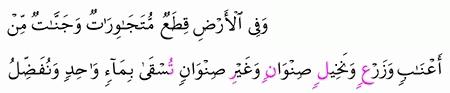 مقارنة الآيات بالروايات سورة الرعد الآية 4